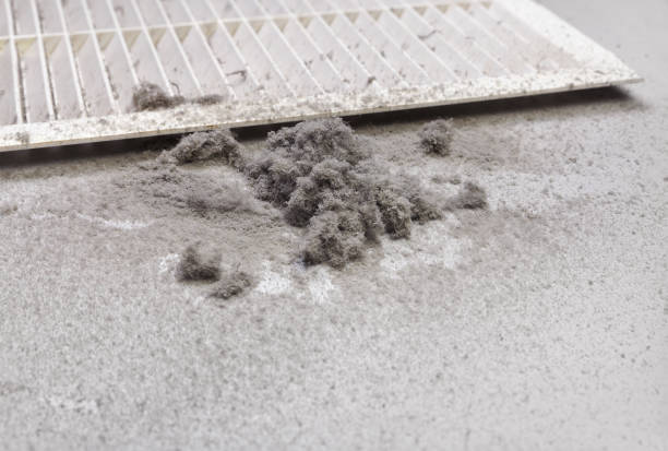 Best Home Air Vent Cleaning  in Watts Mills, SC
